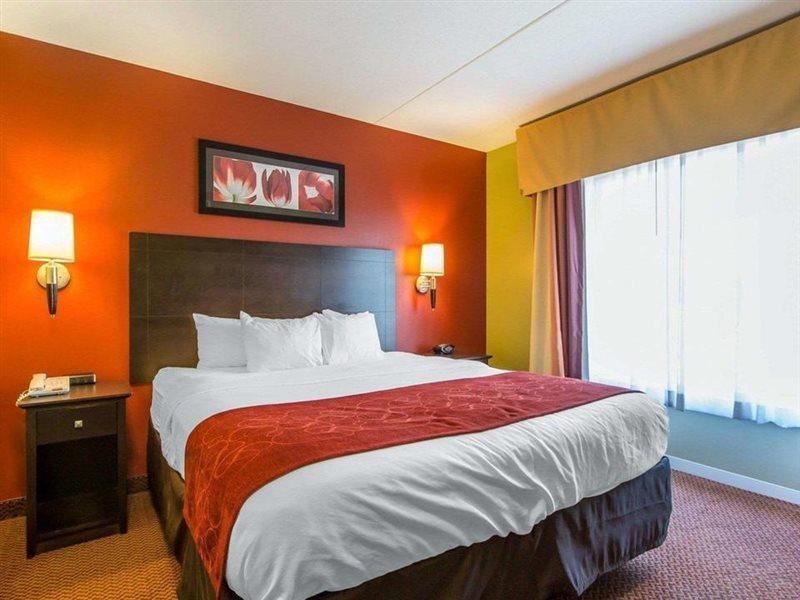 Hotel Comfort East